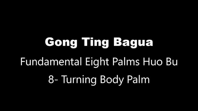 GTBG-8PalmHB-Palm8