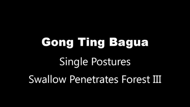 GTBG-SinglePosture-04-SwallowPen-3