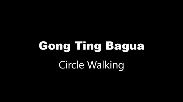 GTBG Circle Walking Take 1