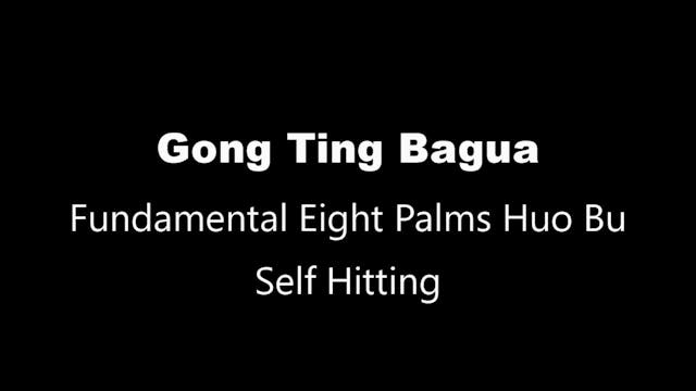 GTBG-8PalmHB-SelfHitting