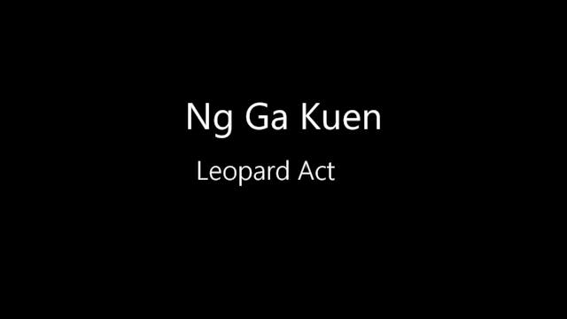 Leopard-05