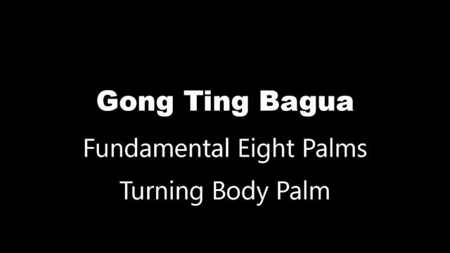 GTBG-8palms13-palm8