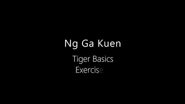 NGK-Tiger-Basics-4
