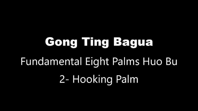 GTBG-8PalmHB-Palm2