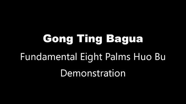 GTBG-8PalmHB-Demo