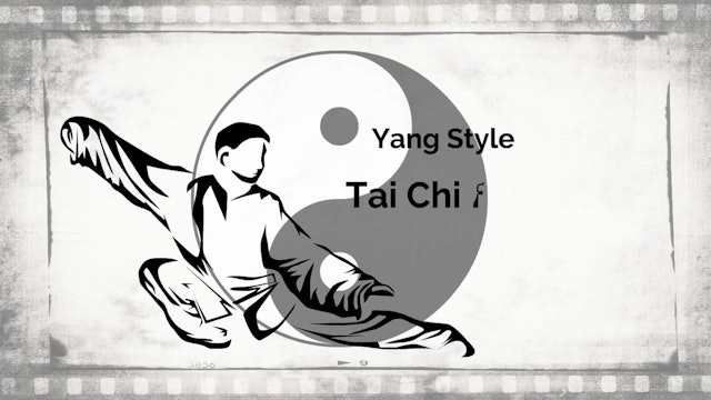 YTCFH4 Tai Chi Stances