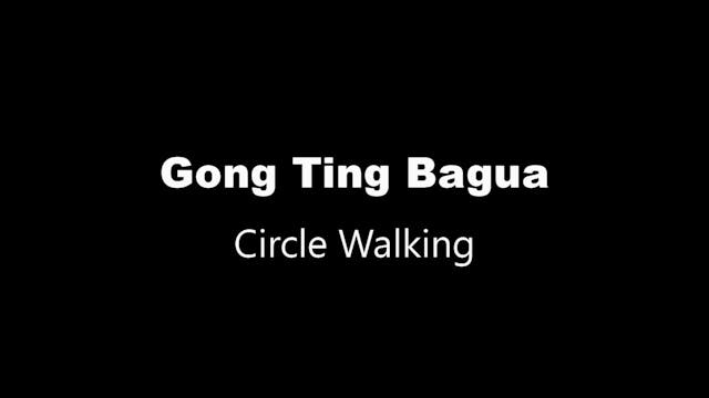 GTBG Circle Walking Take 2