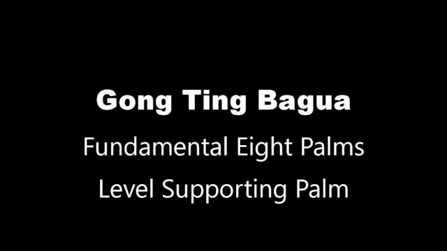 GTBG-8palms14-palm9