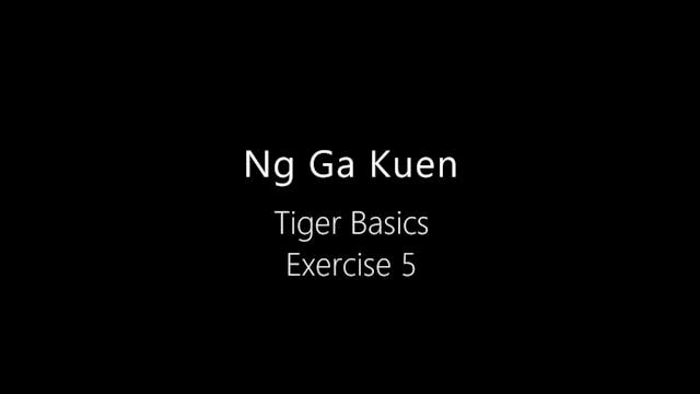 NGK-Tiger-Basics-5