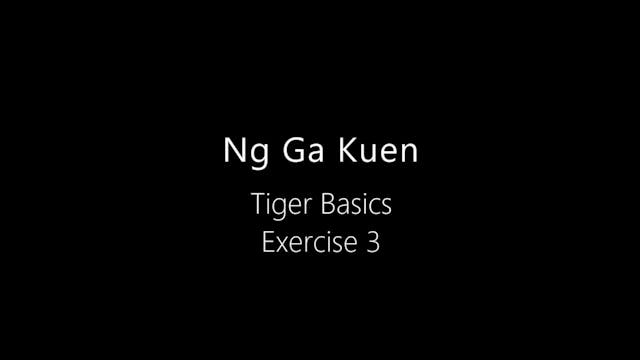 NGK-Tiger-Basics-3