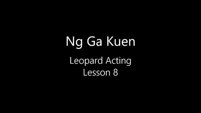 Leopard-08