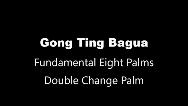 GTBG-8palms12-palm7