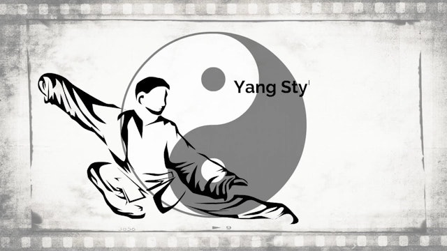 YTCFH14 Yang style Long Form Section 2