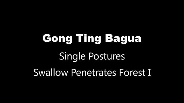 GTBG-SinglePosture-02-SwallowPen-1