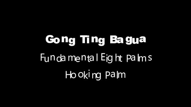 GTBG-8palms07-palm2