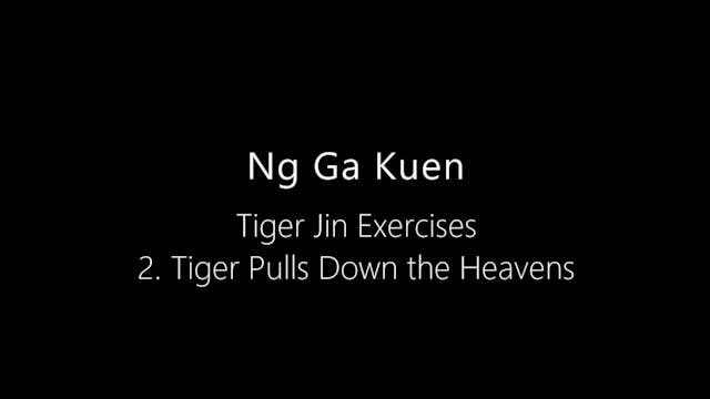 NGK-Tiger-Jin-2