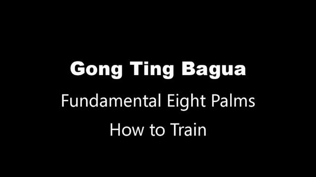 GTBG-8palms02-howtotrain