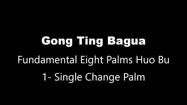 GTBG-8PalmHB-Palm1