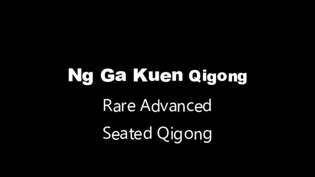 nggakuen-seated-qigong
