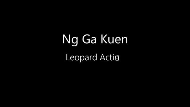 Leopard-07