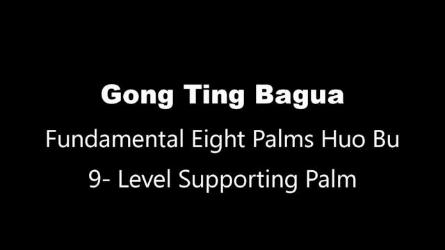 GTBG-8PalmHB-Palm9