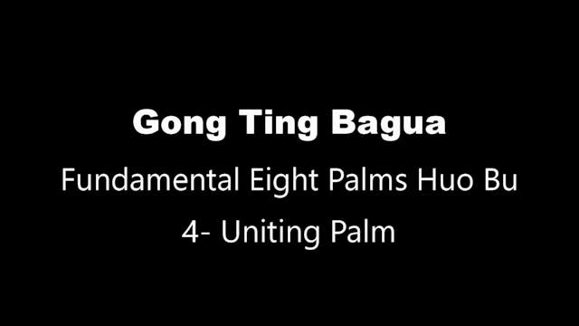 GTBG-8PalmHB-Palm4