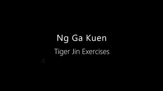 NGK-Tiger-Jin-4