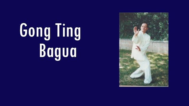 Gong Ting Bagua