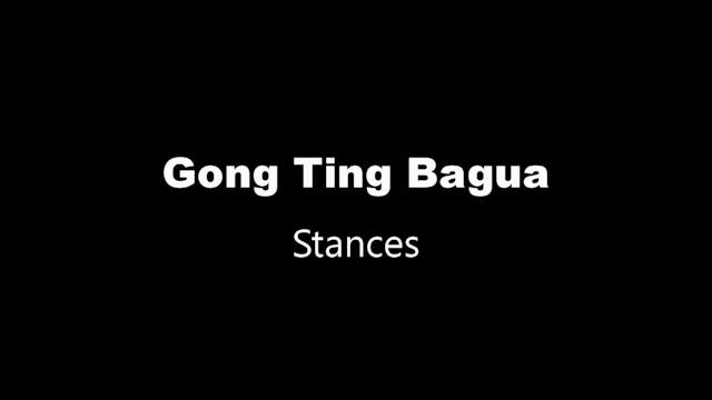 GTBG-Stances