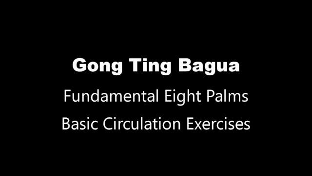 GTBG-8palms06-basiccirculation
