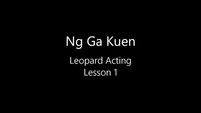 Leopard-01.mp4