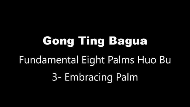 GTBG-8PalmHB-Palm3