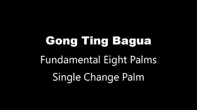 GTBG-8palms04-palm1