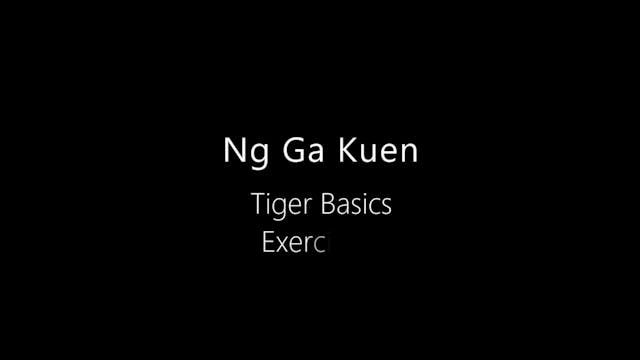 NGK-Tiger-Basics-2