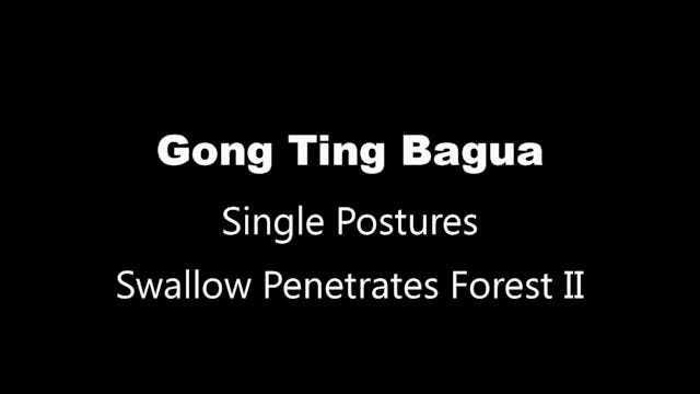GTBG-SinglePosture-03-SwallowPen-2
