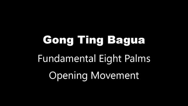 GTBG-8palms03-opening