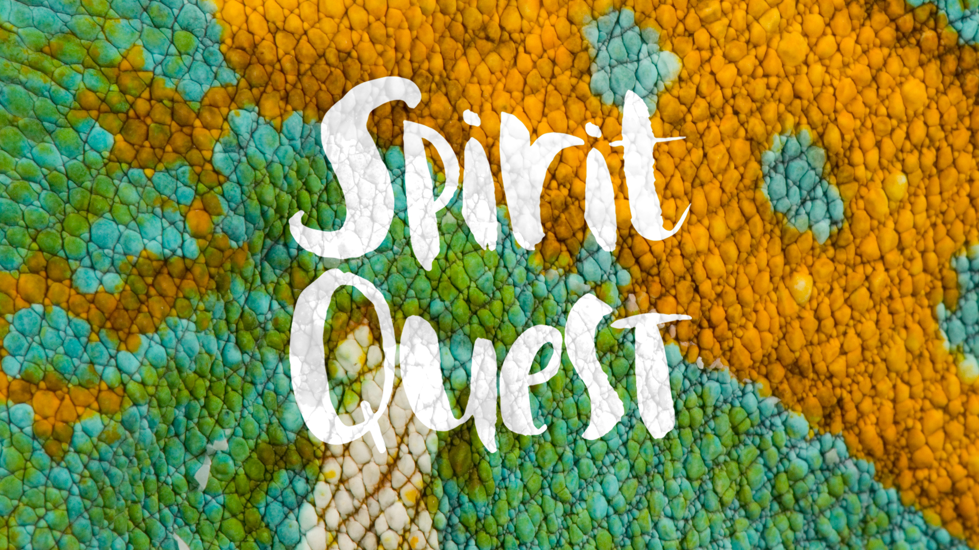 Spirit Quest