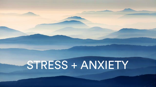 Stress + Anxiety Meditation with Abir 