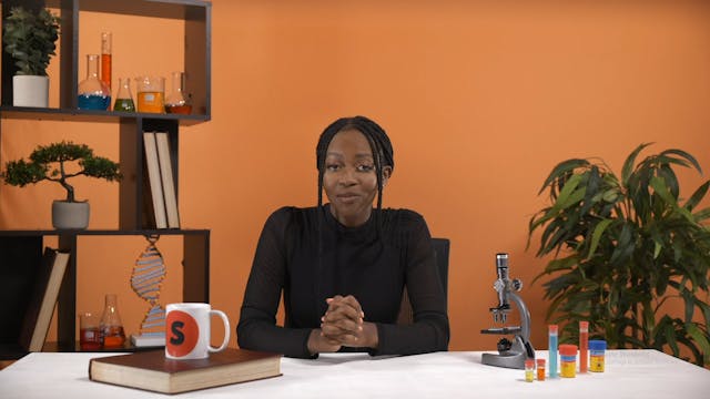 Human reproduction; menstrual cycle a...