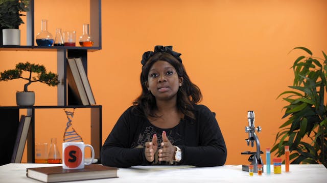 Food security part 1