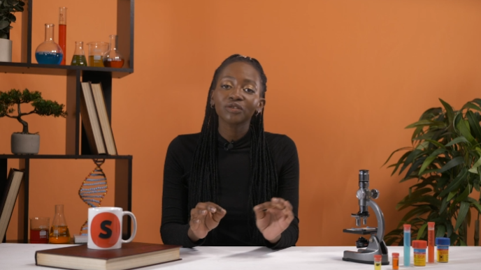 Gaseous Exchange : Inhalation and Exhalation