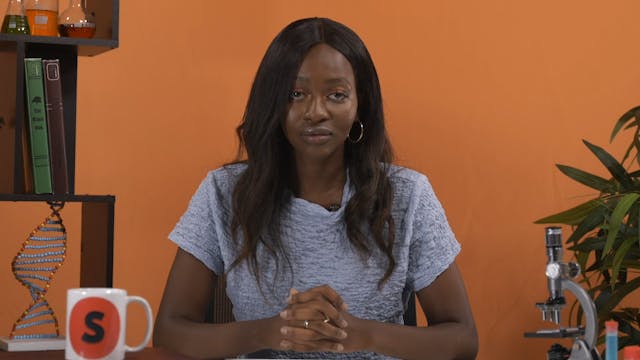 Mitosis and the similarities