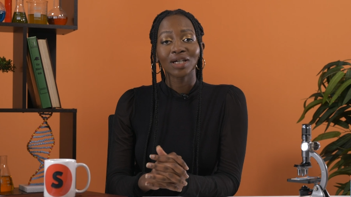 Excretion: Ultrafiltration & Function of Urinary System