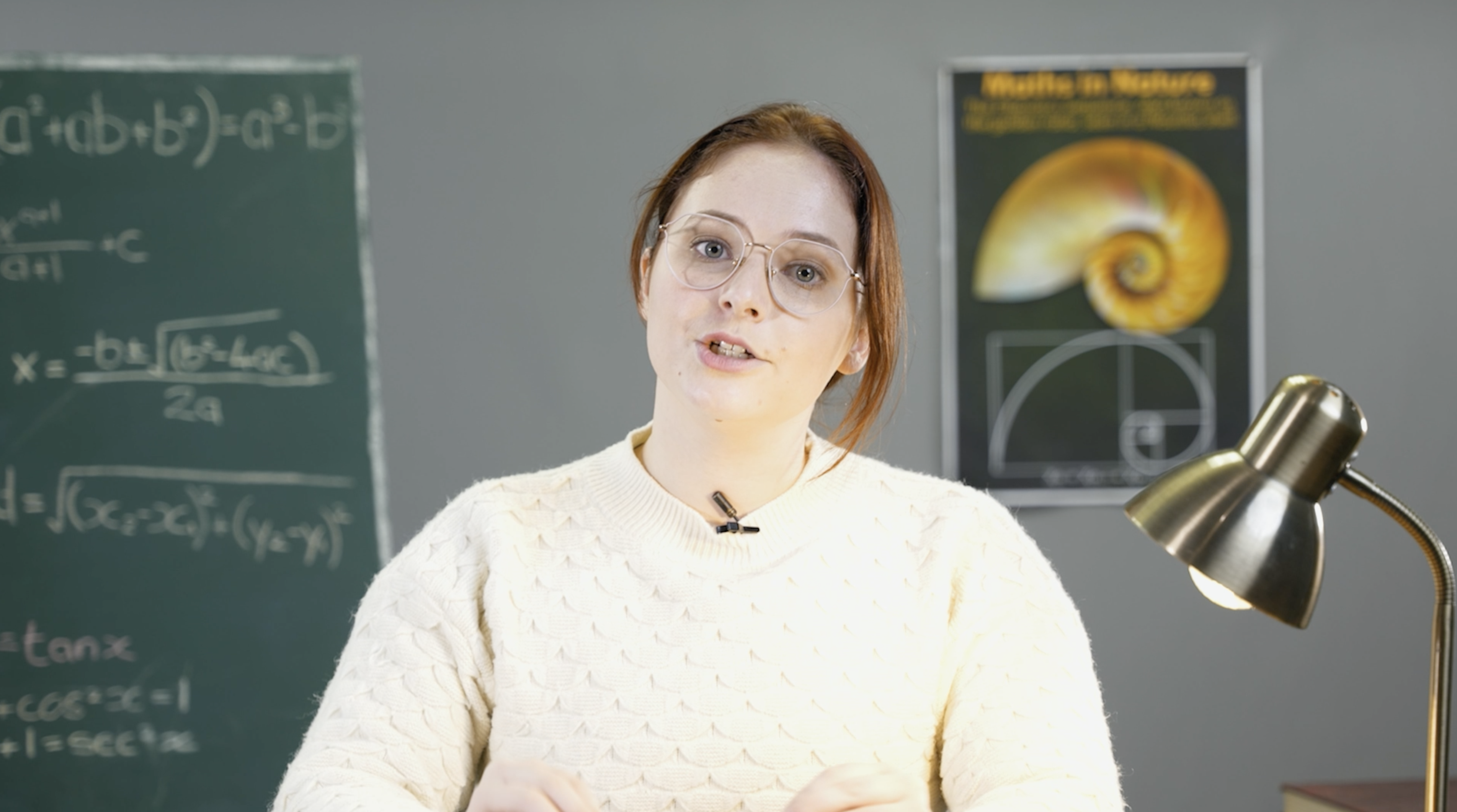 Algebraic Expressions Part 4: Factorisation