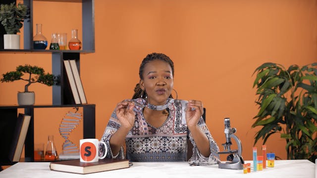 Absorption and reflection of light