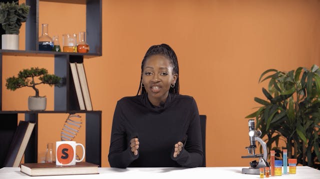 Joints, ligaments, tendons and muscles