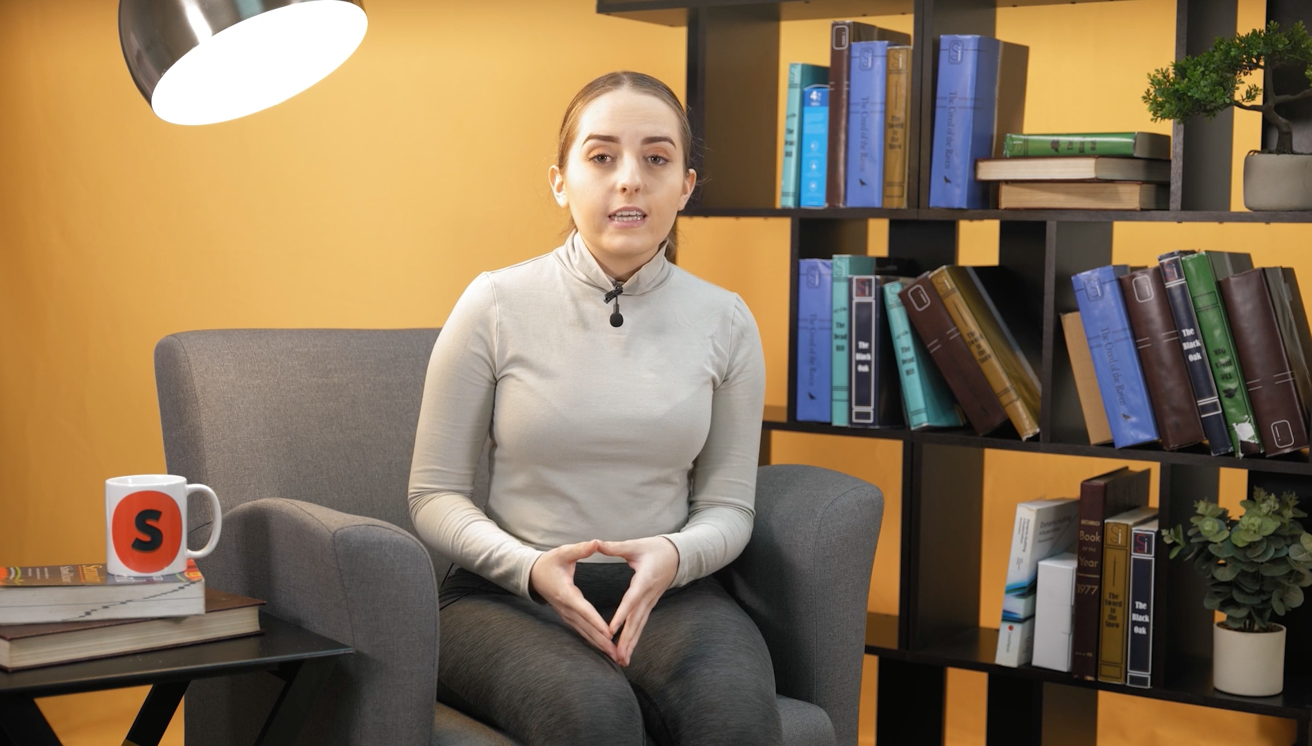 Identifying a theme in a text 