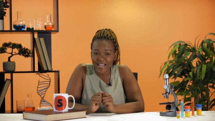 Homeostatic control of blood sugar levels