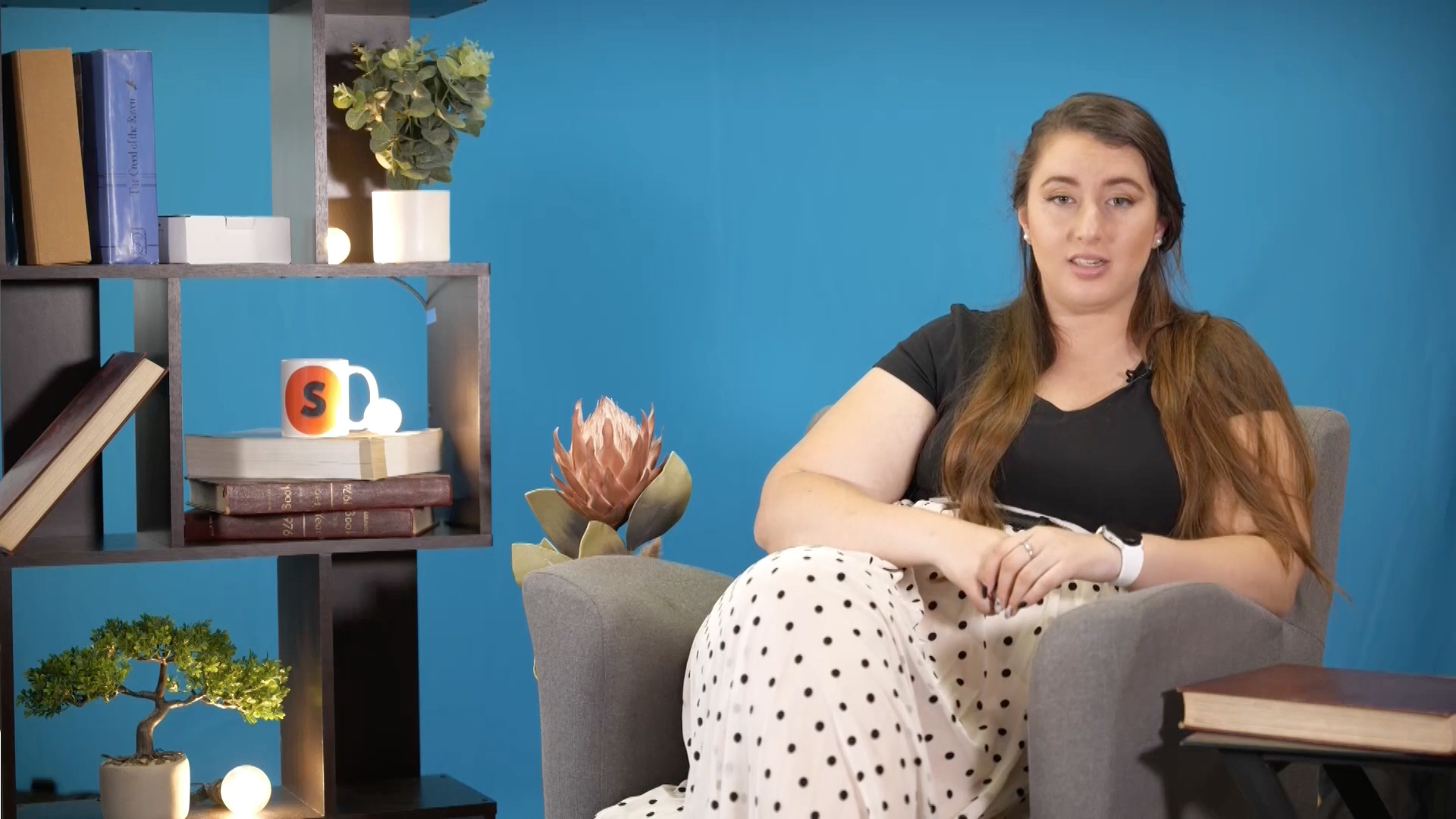 Byvoeglike naamwoorde