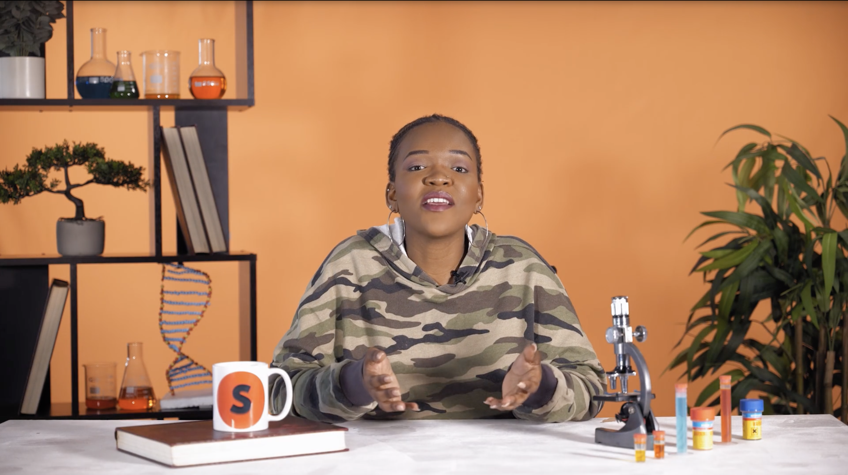 Ecosystems and the abiotic 